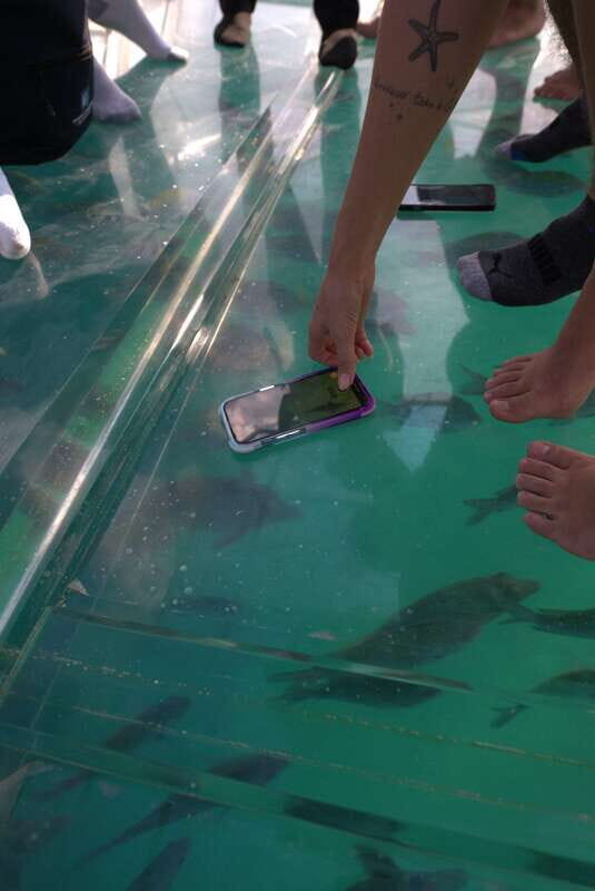 Discover Cabo San Lucas Clear Boat Glass Factory & Tequila - Key Points