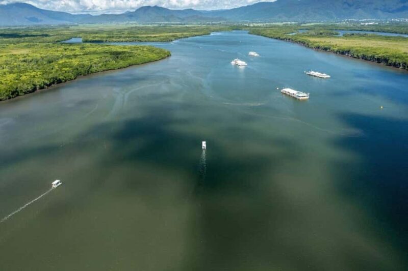 Discover Cairns: Cairns River Cruise & City Sights Tour - Exploring Cairns: What You Can Expect