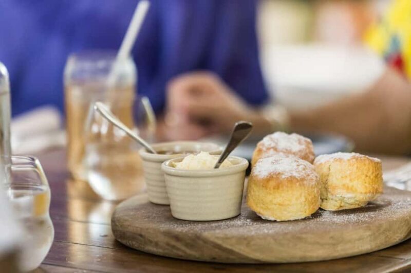 Discover Cairns: Cairns River Cruise & City Sights Tour - The Sum Up: Is It Worth It?