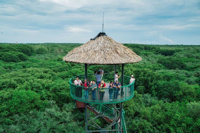 Discover Can Gio Mangrove Forest by Scooter full day tour from Ho Chi Minh city - An Honest Look at the Full-Day Can Gio Tour