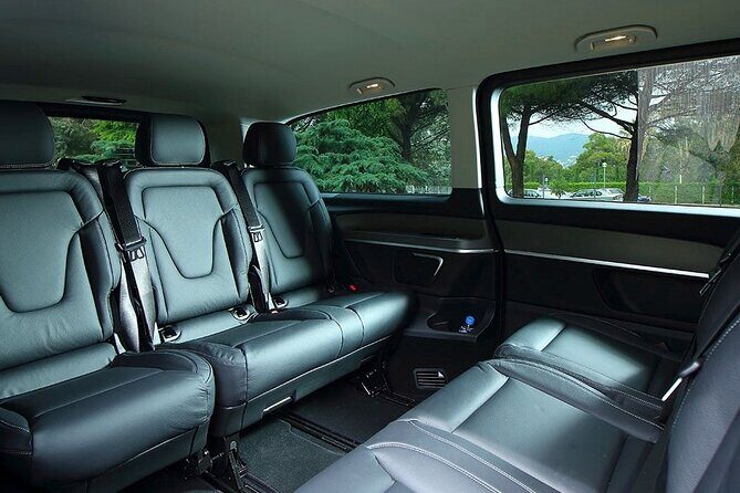 Discover Cassis from Marseille Cruise Port or Hotel by Luxury Van - Who This Tour Is Best For