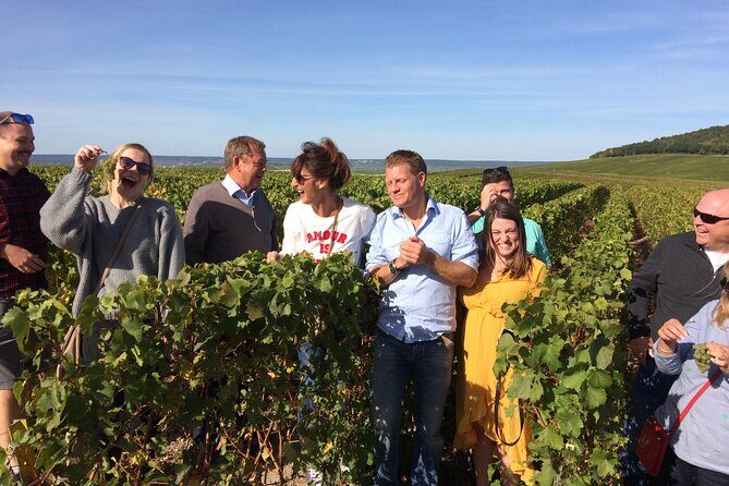 Discover Champagne in half a day in a Van - Key Points
