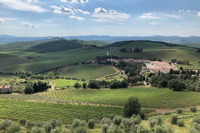 Discover Chianti Classico Wines DiWine Experience - An In-Depth Look at the Chianti Classico Wine Experience