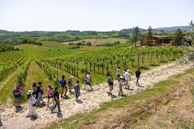 Discover Chianti: Half-Day Tour - Final Thoughts