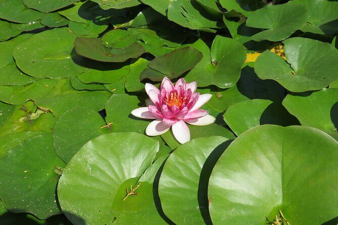 Discover cliffs and myths of Bulgarian Northern Black Sea coast - The Sum Up: Is This Tour Right for You?