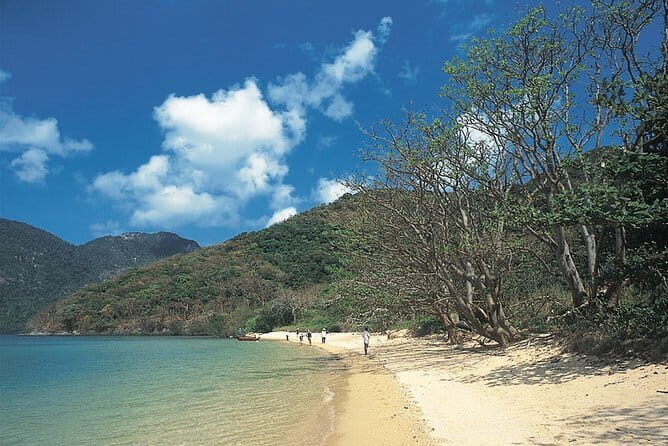 Discover Con Son Bay and Cau Island - Key Points