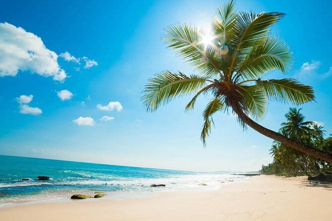 Discover Con Son Bay and Cau Island - Final Thoughts: Is It Worth It?