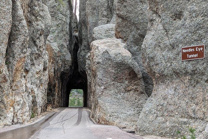 Discover Custer State Park A Self Guided Audio Driving Tour - An In-Depth Look at the Experience