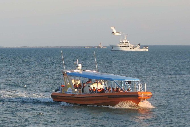 Discover Darwin Harbour 1 hour Darwin Harbour Cruise - Who Will Love It?