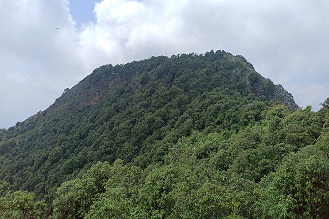 Discover Dehradun: Private City Tour - An In-Depth Look at the Itinerary