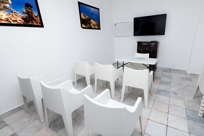 Discover Diving in the Reefs of Cozumel - Who This Tour Suits Best