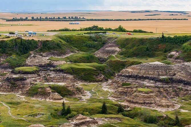 Discover Drumheller, Horseshoe Canyon, Royal Tyrrell Museum - Who Would Love This Tour?