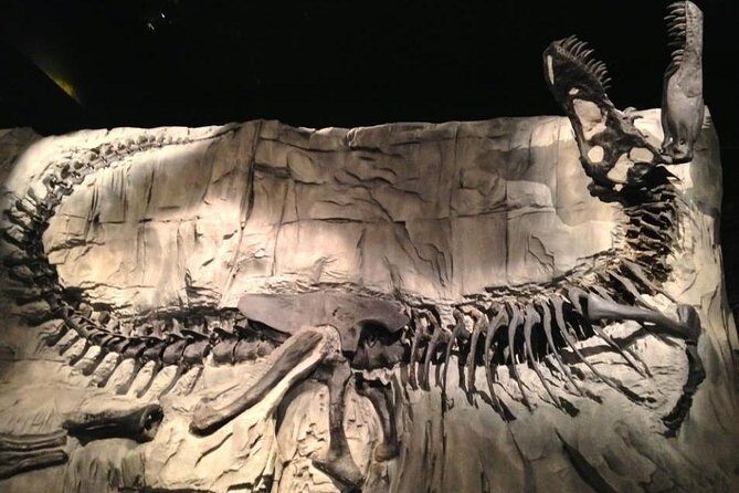 Discover Drumheller, Horseshoe Canyon, Royal Tyrrell Museum - FAQ