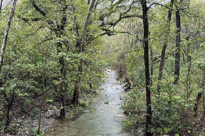Discover Estanzuela Natural Park - An In-Depth Look at the Estanzuela Natural Park Tour
