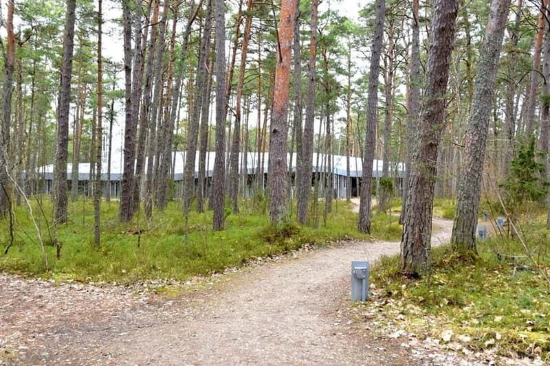 Discover Estonia-car tour from Tallinn to Keila-Joa Waterfal - The Sum Up