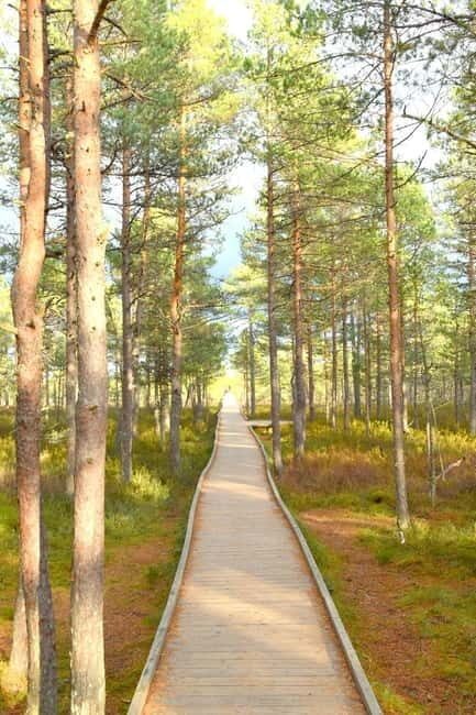 Discover Estoniatour to Lahemaa with waterfalls and nature. - FAQ