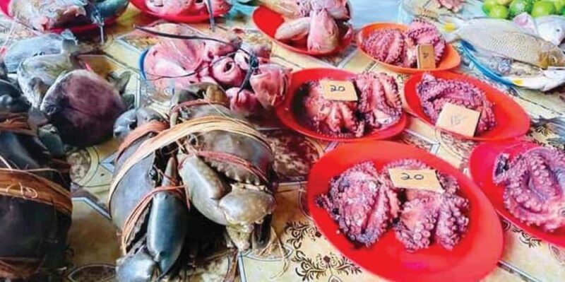 Discover Fijian Culture and Reptiles - Key Points