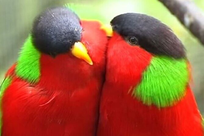 "Discover Fiji's Hidden Gems: Eco Park, Pottery Village & Dunes!" - Practical Tips for Future Travelers