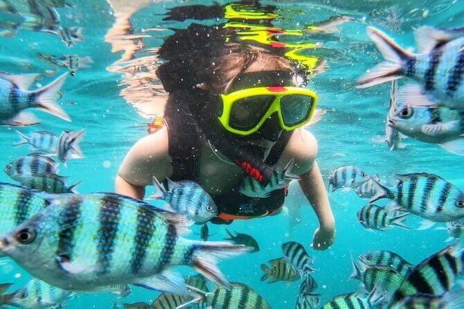 Discover Five Islands on a Snorkeling Adventure from Ko Samet - A comprehensive look at the snorkeling and island-hopping tour from Ko Samet