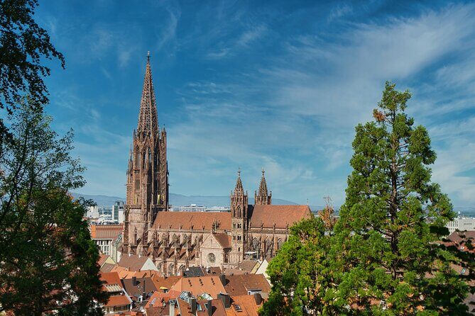 Discover Freiburg Private Walking Tour - Who Will Love This Tour?