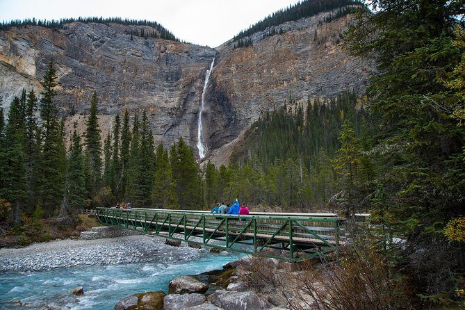 Discover Grizzly Bears from Banff - The Sum Up: Is This Tour Worth It?
