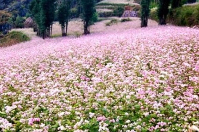 Discover Hagiang 4 Days 3 Nights - Who Would Love This Tour?