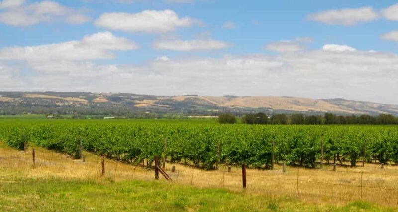 Discover Hahndorf & Taste McLaren Vale - A Closer Look at the Highlights