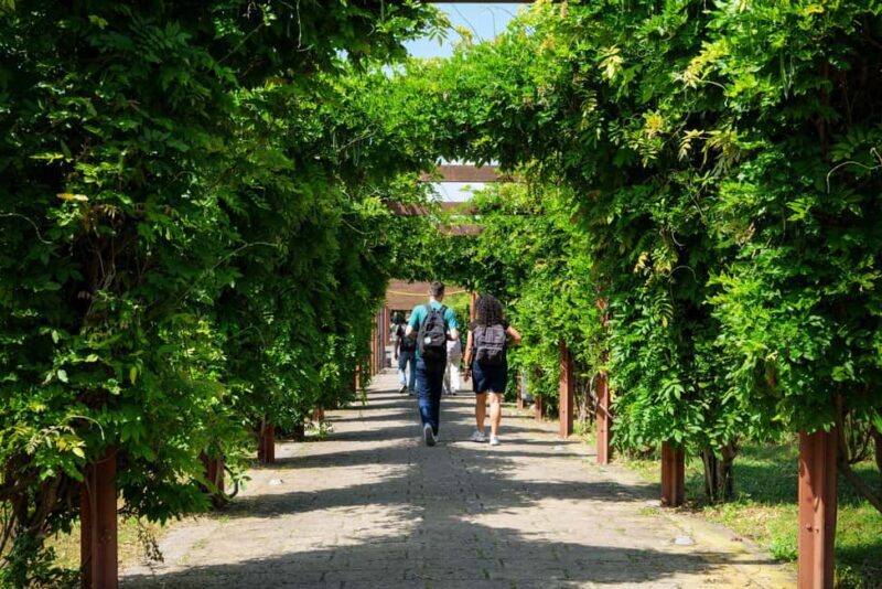 Discover Herculaneum: Guided tour in English of the ancient Roman city - An In-Depth Look at the Herculaneum Tour Experience