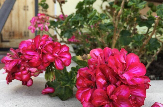 Discover Hidden Stairways & Canyon Paths: Urban Adventure - FAQ