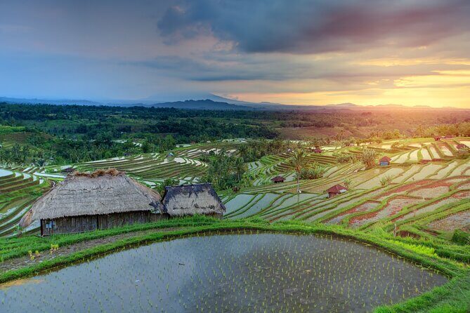 Discover Hidden Waterfall, Unesco Rice Terraces and Mountain Temple - Exploring Bali’s Countryside: A Deep Dive into the Tour
