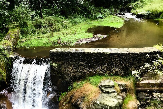 Discover Hiking Trails and a Convent in Desierto de los Leones - Introduction: A Nature and Culture Escape with Convenience
