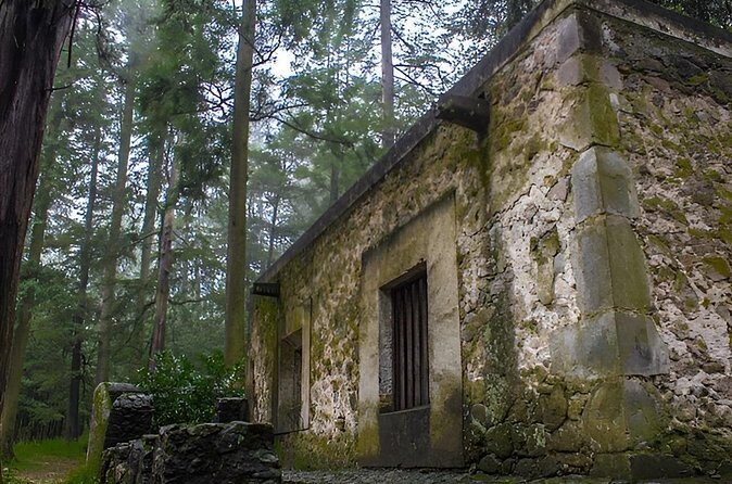 Discover Hiking Trails and a Convent in Desierto de los Leones - Authentic Experiences and Surprising Highlights