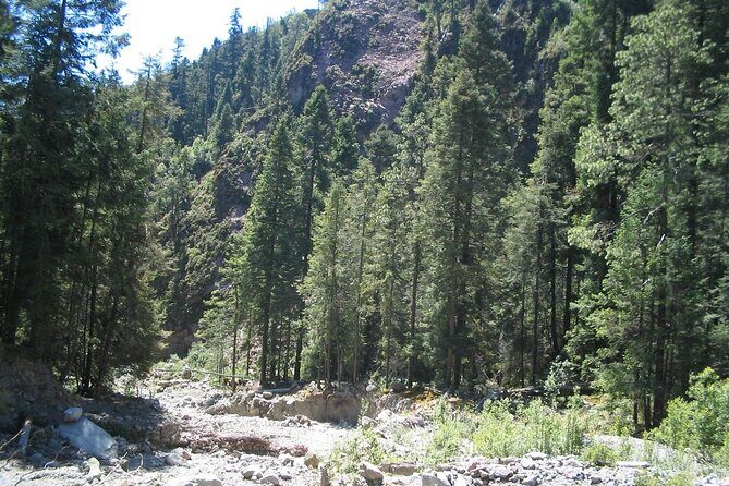 Discover Hiking Trails and a Convent in Desierto de los Leones - Who is This Tour Best For?