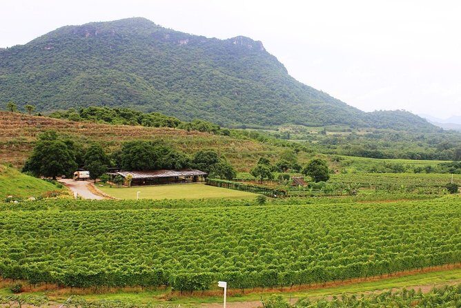 Discover Hua Hins Top Spots and Hills Winery Experience - FAQs