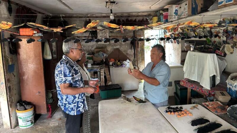 Discover Izamal from the Maya Teya Train: tradition and local artisans - Key Points
