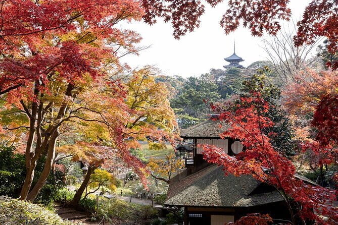 Discover Japan Your Way - Who Will Love This Tour?
