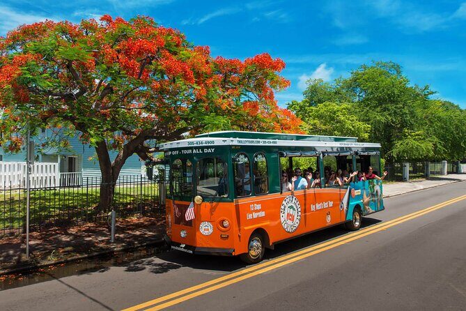 Discover Key West in a Day : Sun, Sea and Paradise - Key Points