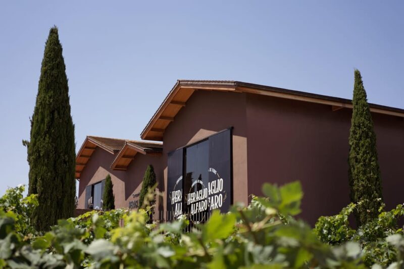 Discover La Rioja: Guided Winery Tour & Wine Tasting - Key Points