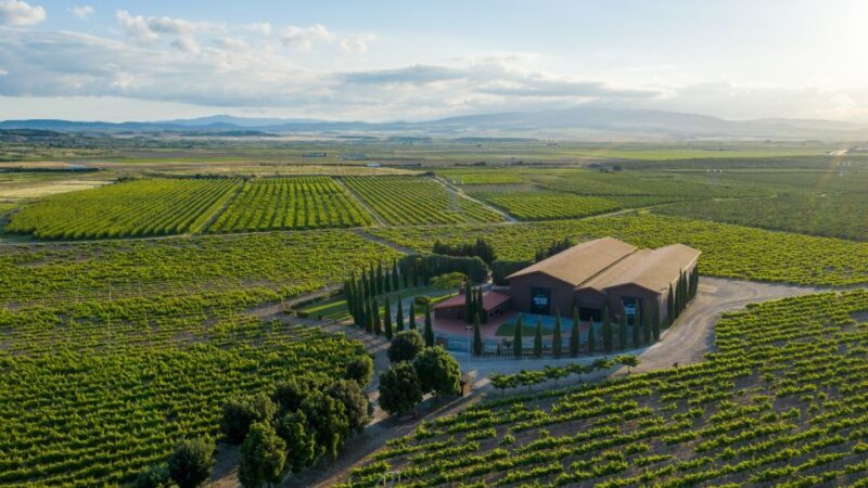 Discover La Rioja: Guided Winery Tour & Wine Tasting - Final Thoughts