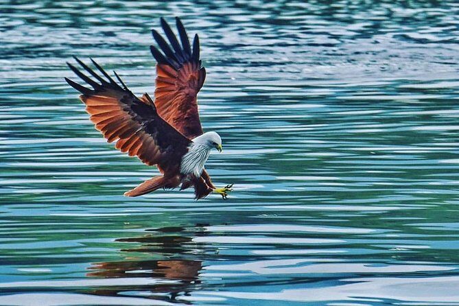 Discover Langkawi Like a local - Private Island Tour - An In-Depth Look at the Langkawi Private Tour