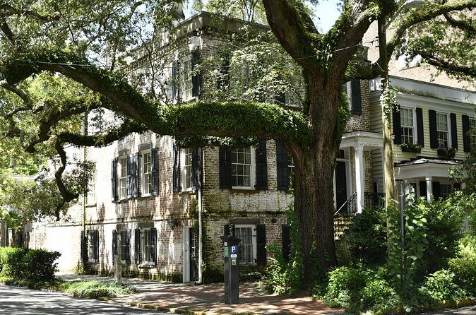 Discover Lesser Known Stories on the Hidden Savannah Walking Tour - What Does This Tour Offer That Others Might Not?