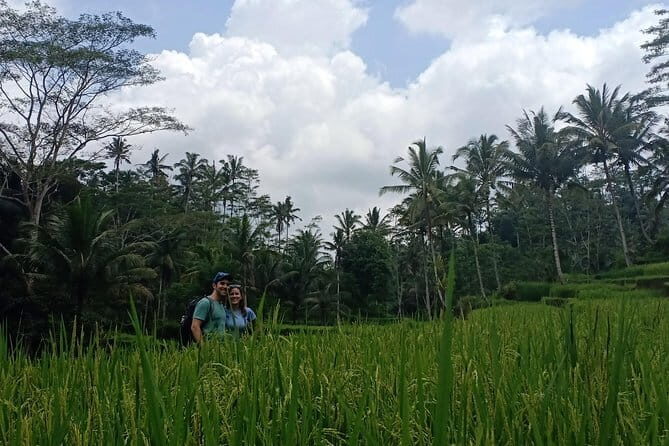 Discover Lovina and sekumpul waterfall - Who Will Love This Tour?