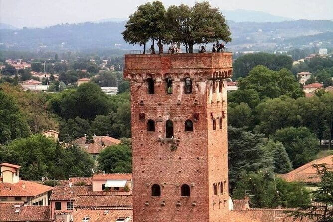 Discover Lucca and Pisa and Enjoy Buccellato Cake: Full Day Tour - Final Thoughts