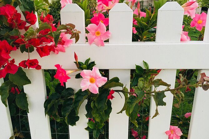 Discover Lush Gardens, Trees & Neighborhoods: Private - Key Points