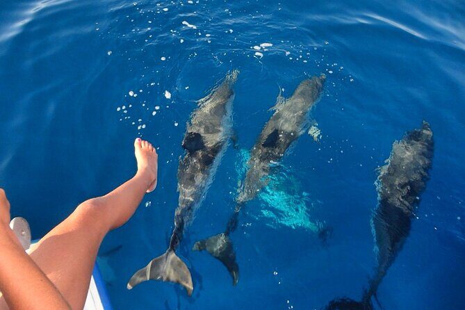 Discover Maafushi in 4 Nights 5 Days (Tour B) - FAQs