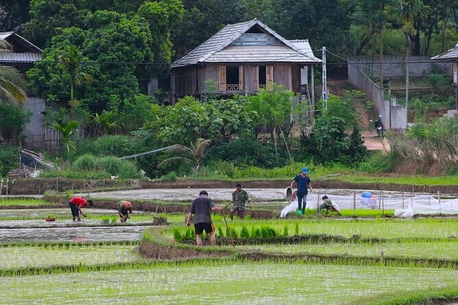 Discover Mai Chau's Hidden Beauty: Cycling in Rural Villages - Key Points