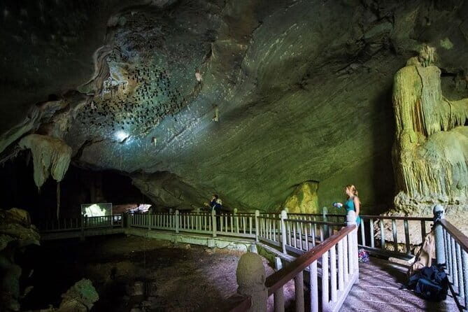Discover Mangrove Forest and Cave Tour in Langkawi (Shared Tour) - A Closer Look at the Langkawi Mangrove and Cave Tour