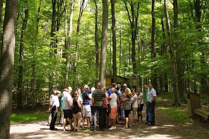 Discover Maple Sugar Bush Tour - Discover Maple Sugar Bush Tour: An Authentic Taste of Ontarios Maple Heritage
