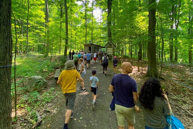 Discover Maple Sugar Bush Tour - The Value and Overall Quality