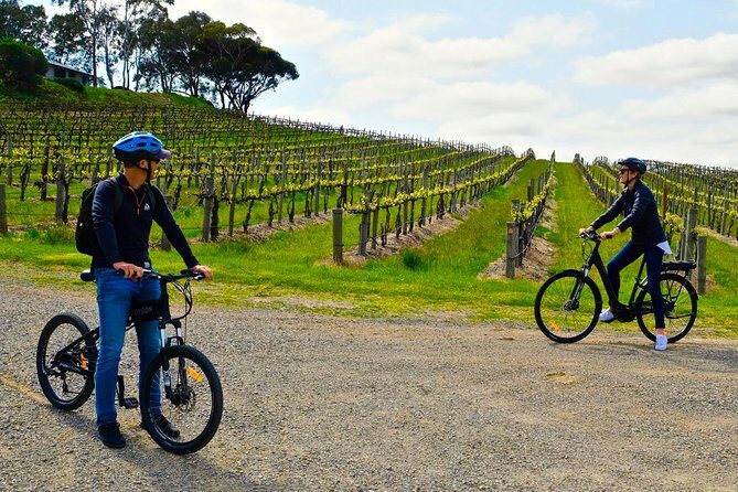 Discover McLaren Vale on eBikes - Full Day - What to Expect from the McLaren Vale E-Bike Tour